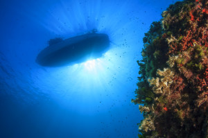 Apnoe Tauchen DIVE CENTER KRK