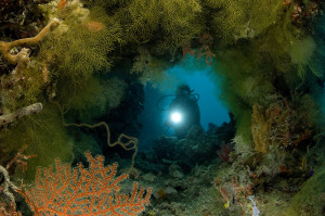 CMAS 3 Star diving course Krk Croatia