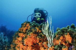 Discover Scuba Diving Krk Croatia