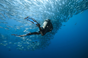 IAC AOWD diving course Krk Croatia