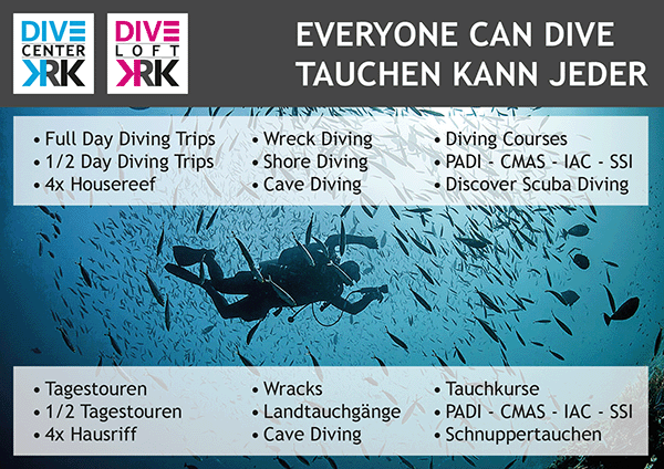 Our offer: full day diving tours, wreck dives, land diving